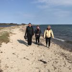 Strand Forkælelsesdag Hjarnø